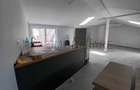 Loft spatios la Cismigiu - 14