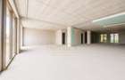 Spatiu comercial de 178mp | SAD | Central - 1