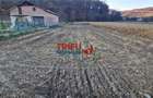Teren Intravilan în Ampoița 1000mp - 2