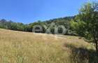 36.200 mp teren | Poiana Mărului | Platou | Apă și curent | 1 km de Sergiana - 8