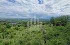 Teren extravilan | De vanzare | 1400 mp | 13 ml deschidere | Paclisa - 4
