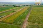 2 terenuri intravilane construibile aproape de Sfantu Gheorghe - 9