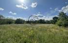 Teren intravilan de vanzare | 11.000 mp | Ghirdoveni | Comision 0% - 11