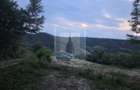 Teren intravilan de vanzare - 5