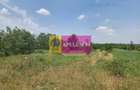 Săbăreni, teren 12620 mp pentru case, lângă pădure - 4