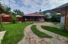 Casa de vanzare,340 mp,7 camere, Alexandru cel Bun Neamt (Bistrita), Cod 158919 - 9