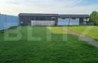 Casa 4 camere 120 mp, 600 mp Teren. Vetis - 17