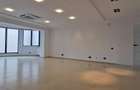 Nordului Caramfil Office lux all level su 185mp - 3