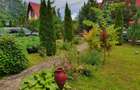 Vila de vanzare Valea Doftanei- Brebu - Campina - 1