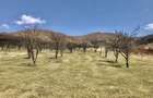 Vanzare teren intravilan- livezi - 4