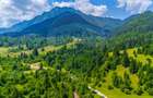 Natură— 18.900 mp în Săcele, cu râu și priveliște montană - 6