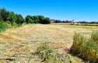Teren de 4000 mp intravilan in Cristian - 1