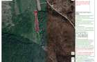 teren in suprafata de 2.410 mp mp Paleu, jud. Bihor (licitatie) - 2