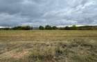 Vand teren Intravilan 1400 MP in Parcul National Comana - Vlad Tepes - Giurgiu - 10
