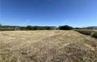 Teren intravilan de 543 mp cu PUZ constructie duplex in Cristian - 5