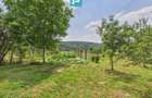 2 case cu teren de 2253 mp în Archiș - 13