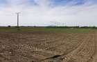 TEREN AGRICOL DE VANZARE - BOD - BRASOV 4,5 HA - 3