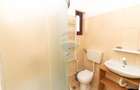 Casa / Vila spatioasa P+1+M de vanzare zona Padurea Cernica - 37