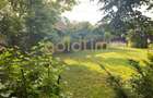 CASUTA DIN POVESTI/CURTE 1100MP/GRADINA MAGICA/SAUNA/PISCINA/SNAGOV - 38