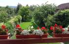 proprietar vand casa Negresti-Oas - 10