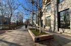 Spațiu comercial 485 mp cu ISU, Unirii, pretabil clinică/bancă - 3