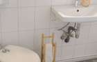 Casa renovata la tara complet -mobilata si utilata - 12