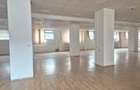 Spatii de birouri Cotroceni Business Center - incepand cu 8 euro/mp - 15