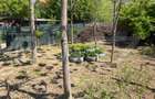 Casa P+1, 900 mp teren, zona Catargiu - 6