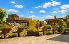 Afacere la cheie Brasov-Cazare, evenimente, wellness si agrement - 12