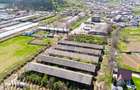 Teren Industrial 3Ha și Hală 1000mp de Vânzare în Tomesti - IAȘI - 6