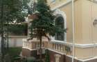 Casa impresionanta de vanzare Cotroceni, teren 680 mp, renovata, garaj dublu - 17