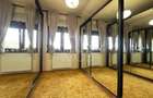 Casa individuala de vanzare - Sura Mare - 8