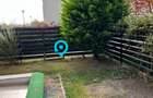 3 camere Parter | 91 mp | Gradina | Natura Residence - Baneasa - 18