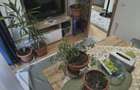 2cam.dec.mob-util complet+curte62mp+parcare/10min metrou D.leonida - 18