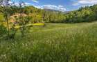 Teren de vanzare | 12 259mp | - 6