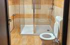 Oportunitate Business – Spatiu ultracentral – B-dul Revolutiei (McDonald’s) -55m - 3