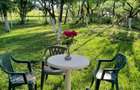 Casa de vanzare si teren 3600 mp Radomiresti - 5