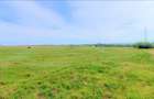 OCAZIE ! EFORIE NORD, ULTIMELE 3 LOTURI, 517 MP. 19.500 EURO IDEAL INVESTITIE ! - 10