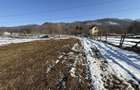 Teren intravilan 4521mp lângă pădure-valea Doftanei -Calea Brasovului - 12