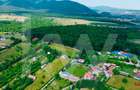 Teren intravilan 2000 mp - Tocile, vedere panoramică spre munte și pădure - 10