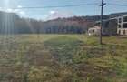 Teren intravilan de vanzare in Hidiselul de Jos, jud.Bihor - 3
