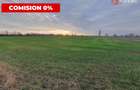 COMISION 0% Teren intravilan industrial 28.395 mp la sosea in Sag  - 6