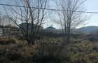 Teren intravilan Comuna Snagov , Lac Snagov - 5