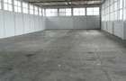 Sere ( Varful cu Dor) , hala 680 mp., platforma betonata 2.000 mp. - 7
