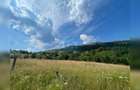 Teren cu potențial turistic, cadru natural rar, 20.000 mp  Sacuieu - 5