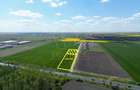 COM 0% Parcela cu deschiedere la DN69, servicii, hale | Sanandrei - 1