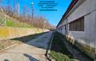 Hala si teren , Piatra Neamt - 1