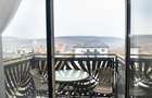 Apartament 2 camere Baile Felix - 4