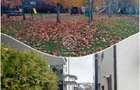 Apartament cu 2 camere in Borhanci | de inchiriat | PET FRIENDLY | parcare - 10