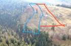 Teren INTRAVILAN 23.238m.p. Dorna-Arini / Cozănești - 5